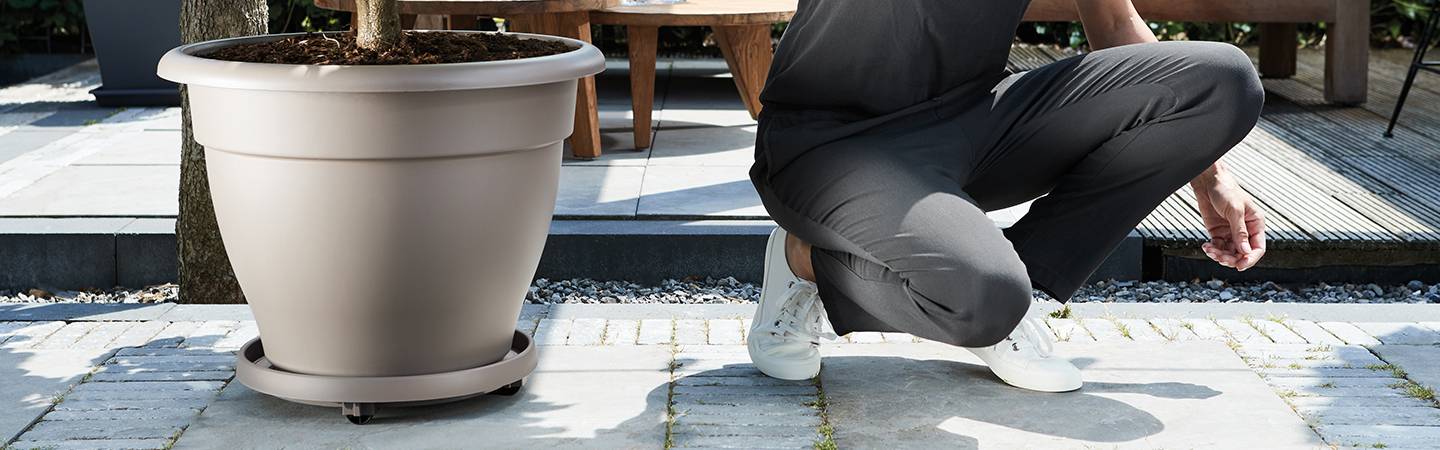 universele planttaxi 30cm antraciet